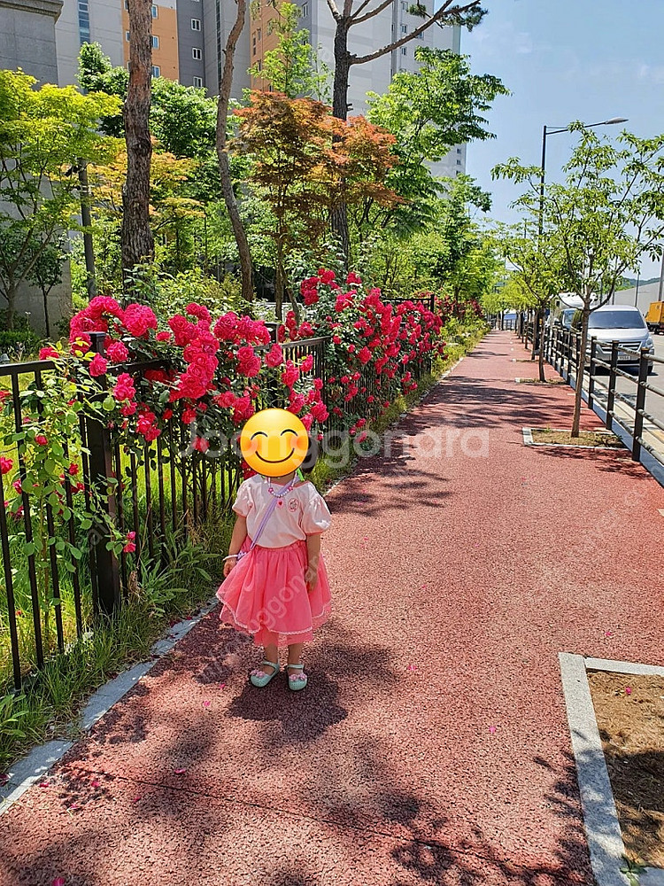 여아옷120)모이몰른 원피스120/모이몰른 치마 상하복...--6