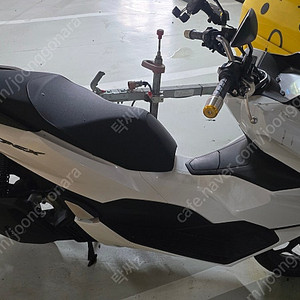 24년식 PCX125