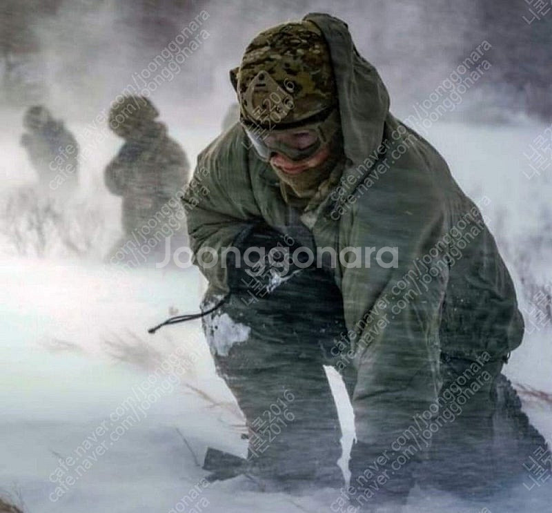 US ARMY USFA 미군 폴라텍 후리스 탄 코요테 ...--2