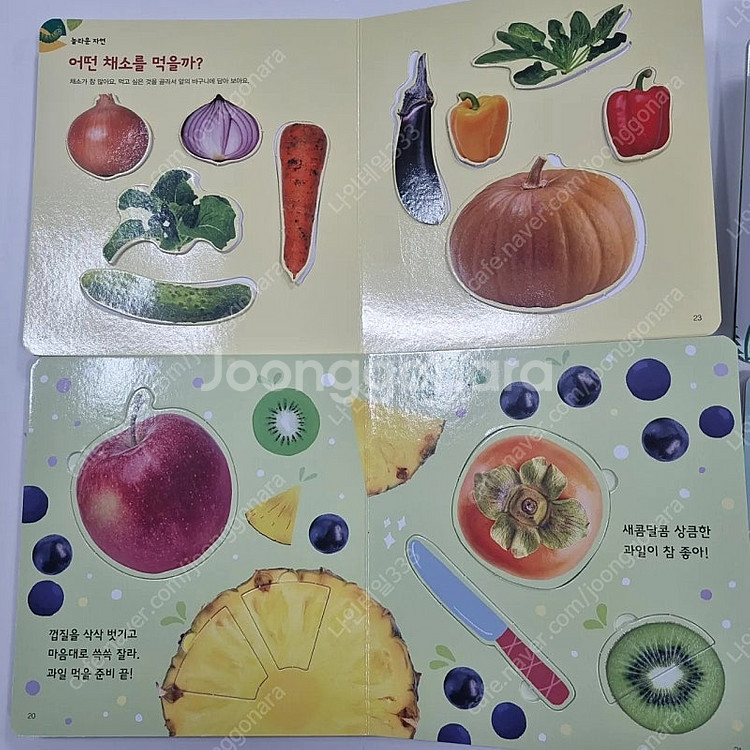 놀라운자연 최신개정판 (상태최고)--4