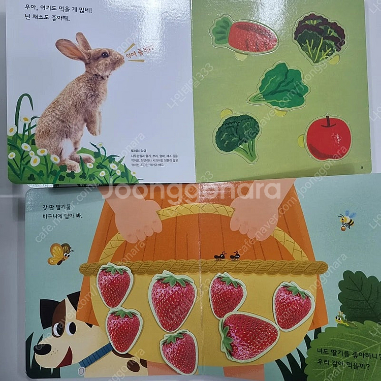 놀라운자연 최신개정판 (상태최고)--5