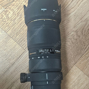 시그마 70-300 소니a마운트 팝니다.