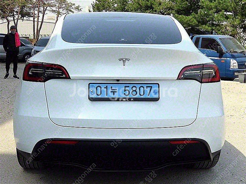 테슬라 모델 Y 중고 테슬라 중고 흰색 2024년식 5...--5