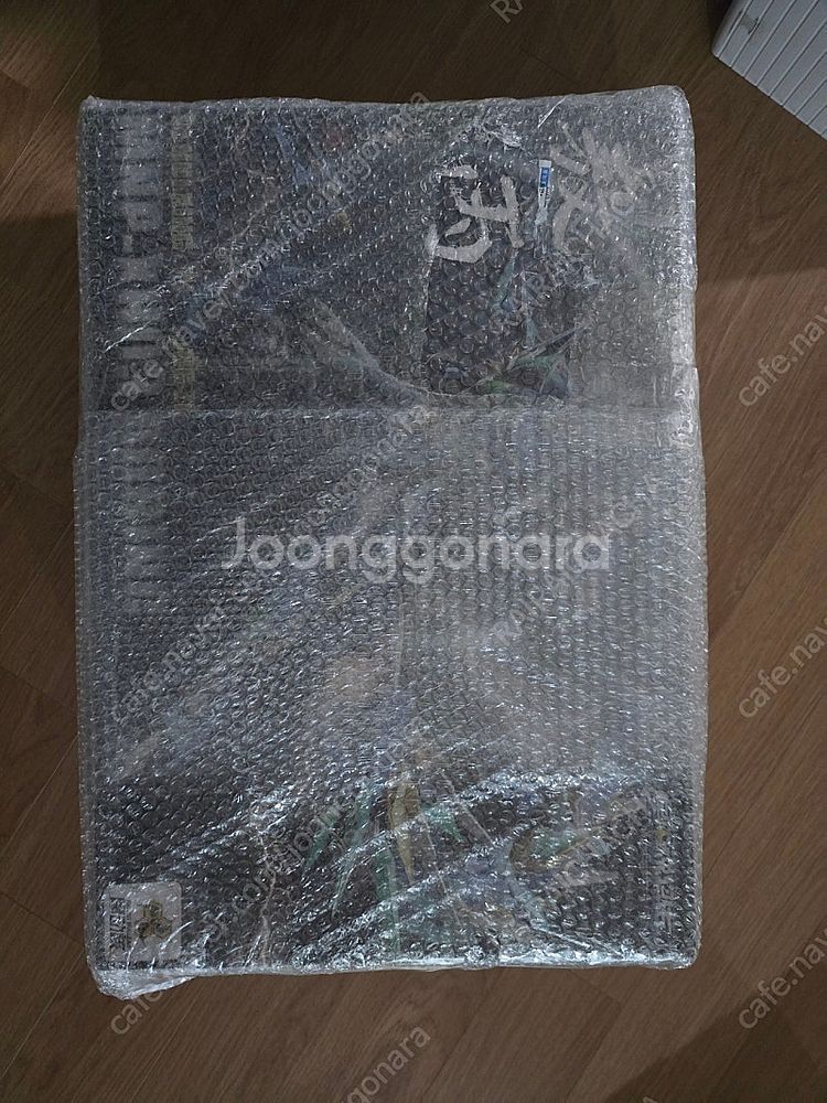 모터뉴클리어 청룡 프라모델 (택포)--0