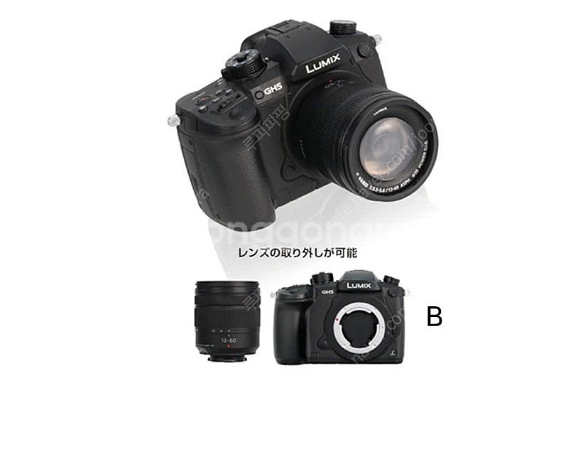루믹스 DC-GH5 카메라 미니어쳐 가챠 피규어--1