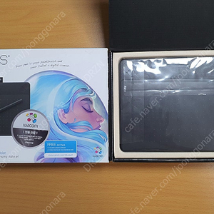 와콤 인튜어스 아트 WACOM INTUOS ART CTH-690 타블렛