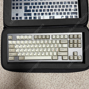 lz mp 그레이