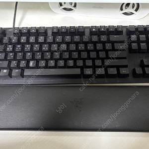 레이저 헌츠맨 v2 리니어 tkl 판매