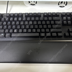 레이저 헌츠맨 v2 리니어 tkl 판매