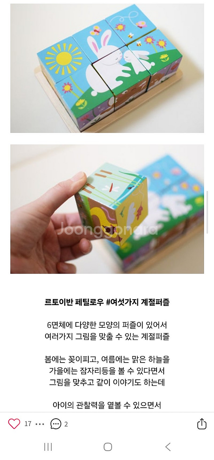르토이반 페틸로우 원목교구 5종--7