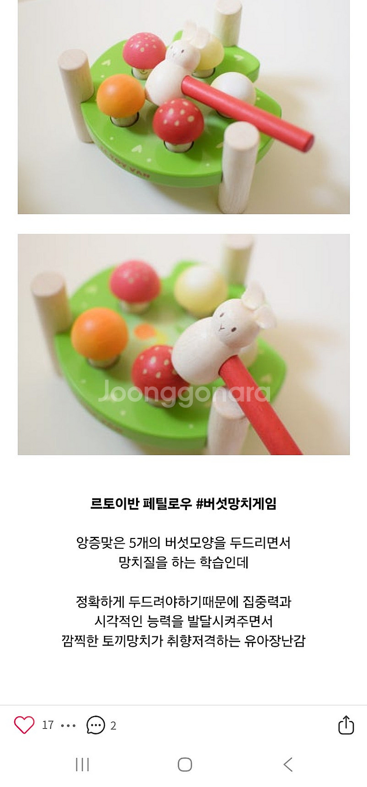 르토이반 페틸로우 원목교구 5종--9