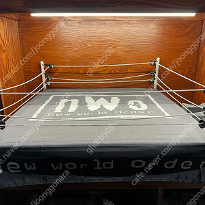 Wwe피규어