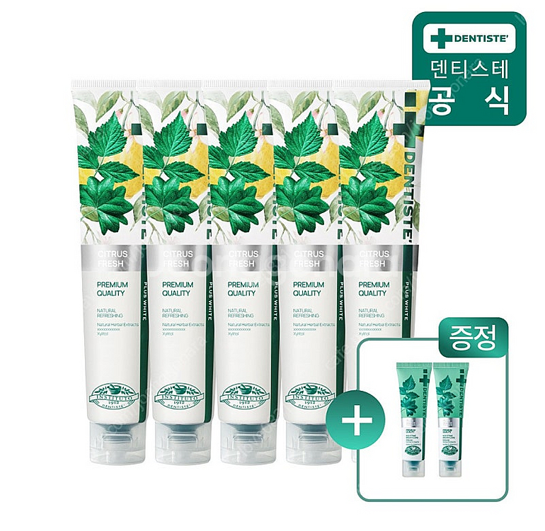 덴티스테 시트러스 후레쉬 치약 200g 5개(불소함유)...--0