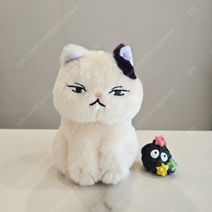 도토리숲 지브리 귀를기울이면 문 고양이 인형