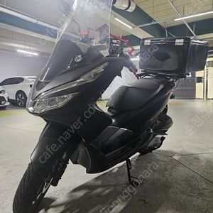 pcx125 20년식 팝니다 보세요