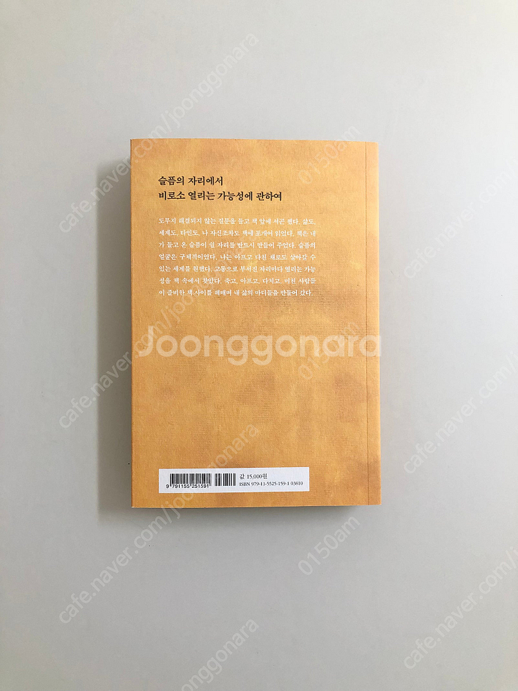 [에세이] 하는 일 마다 잘되리라 / 슬픔의 방문 / ...--7