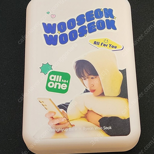 새상품 변우석 맥세이프 보조배터리 팔아요