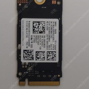 pm981 256g