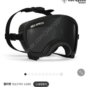 렉스스펙스 단두종고글 구매원합니다