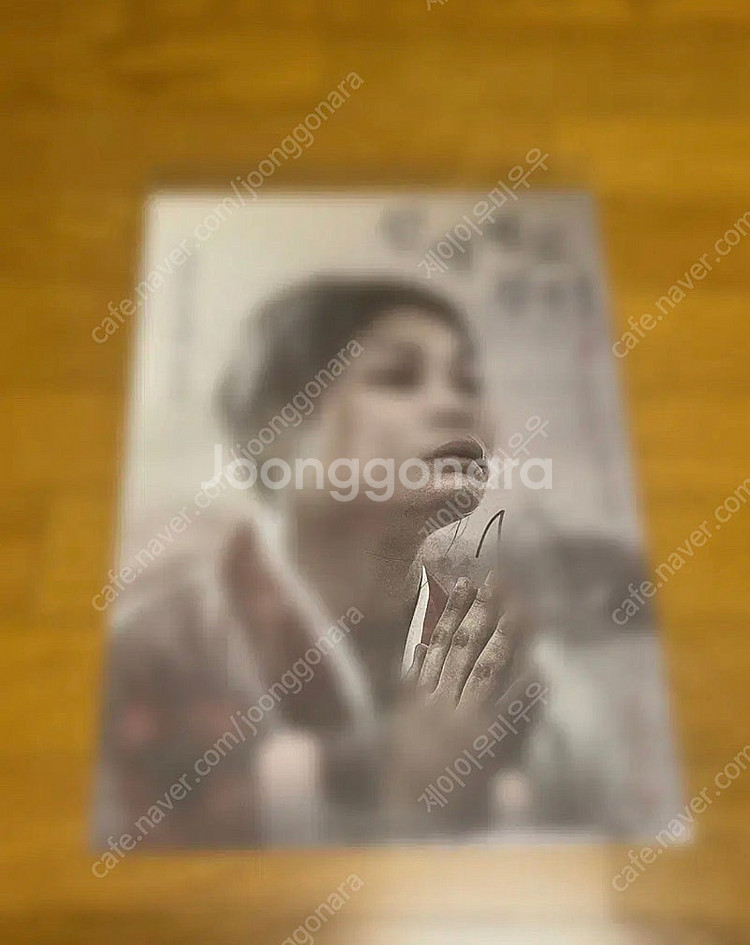 정하담 친필싸인포스터 팝니다--0