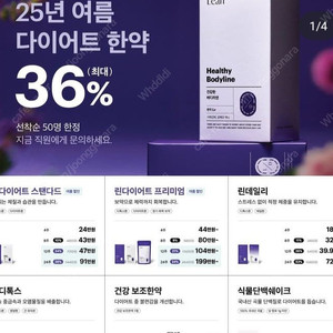 린다이어트(4주)