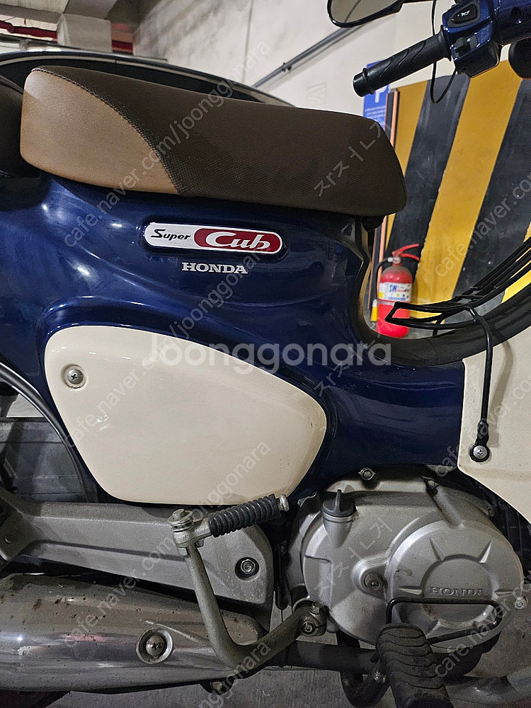 슈퍼커브 블루 110 cc 2019년 15xx 키로수 ...--4