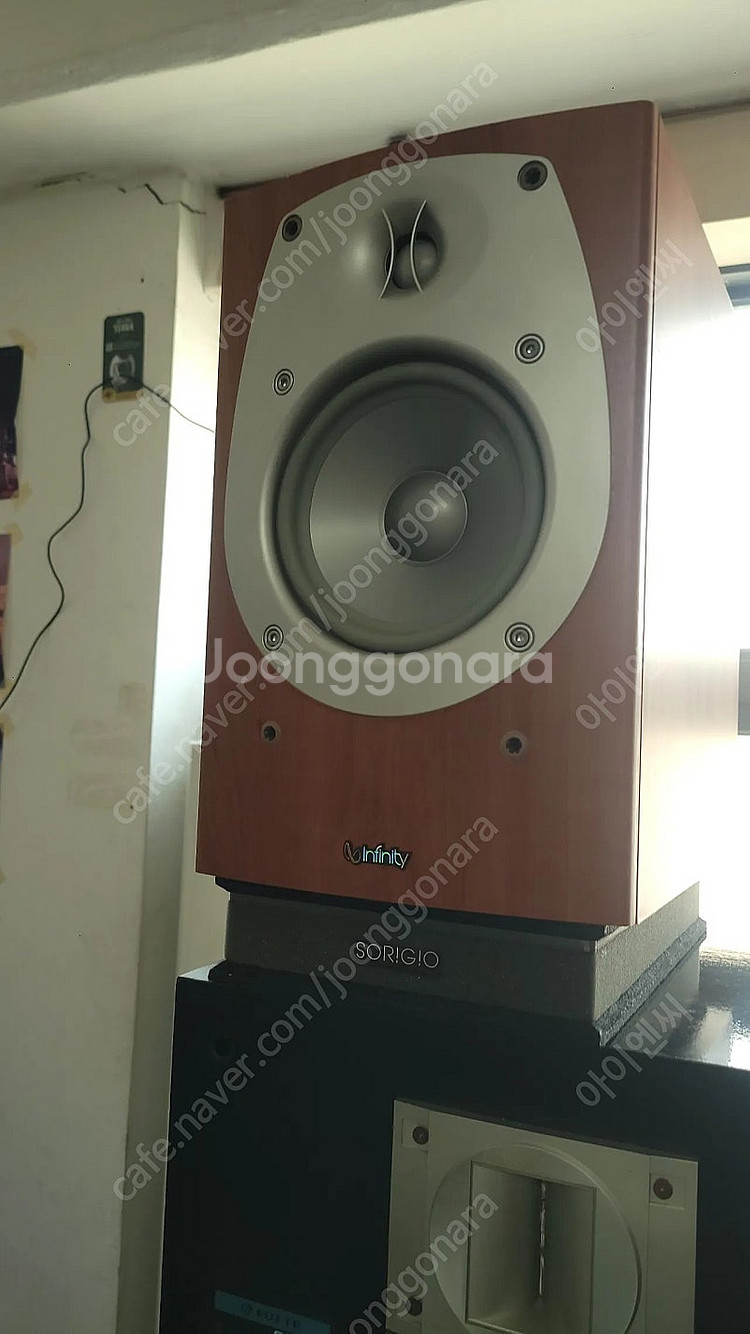 인피니티 BETA 20 스피커--1