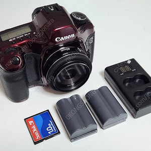 캐논 EOS 5D + EF 40mm F2.8 STM DSLR 카메라