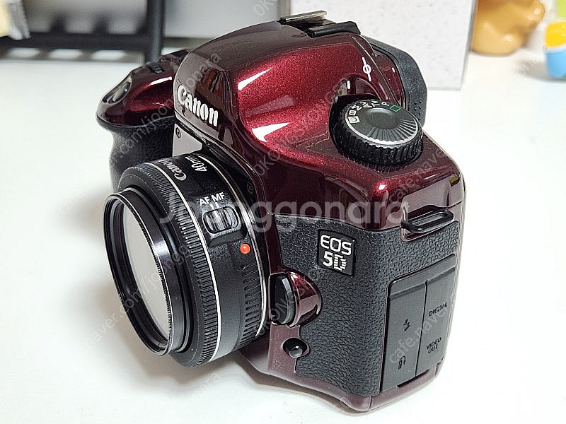 캐논 EOS 5D + EF 40mm F2.8 STM D...--3