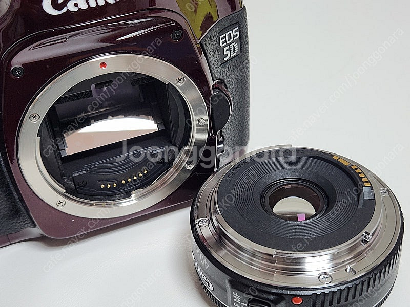 캐논 EOS 5D + EF 40mm F2.8 STM D...--7