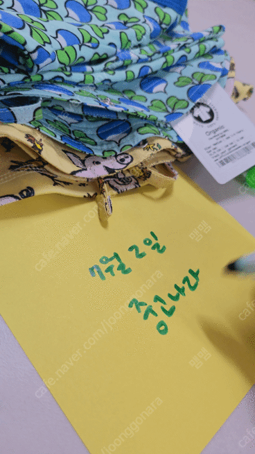 던스 파란순무 썬햇M+반팔티104, 노랑돼지 썬햇M+반...--8