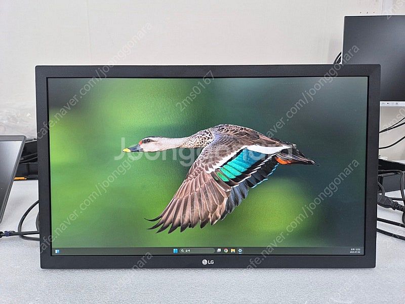 LG전자 22MN430M 22인치 FHD 60hz 모니...--0