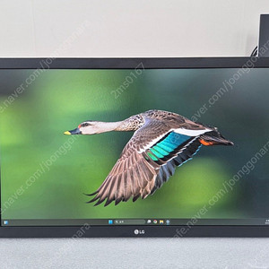 LG전자 22MN430M 22인치 FHD 60hz 모니터