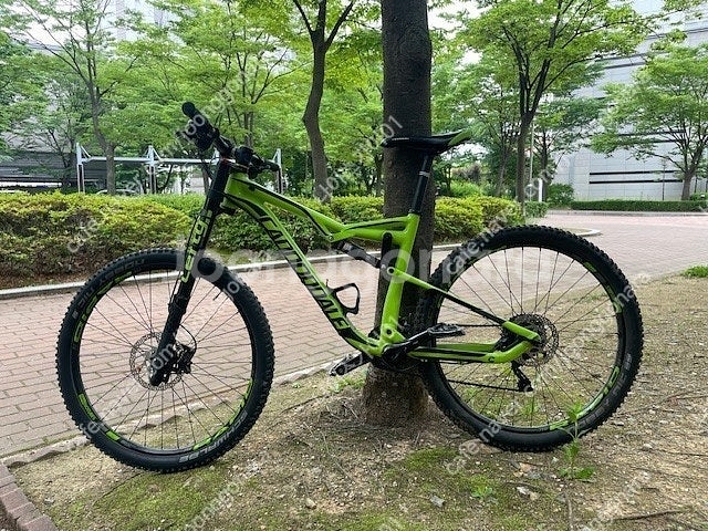 캐논데일 트레일 MTB 판매--0