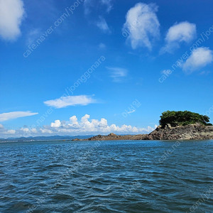 가마가츠 경기지누 2번대 구합니다.