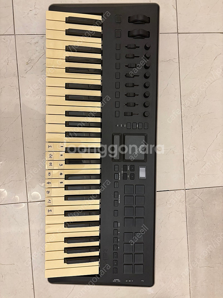 Korg taktile 49 코르그 키보드--0