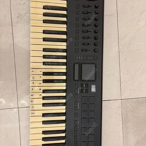 Korg taktile 49 코르그 키보드