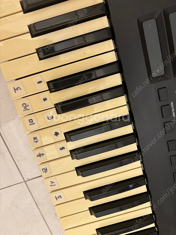 Korg taktile 49 코르그 키보드--2