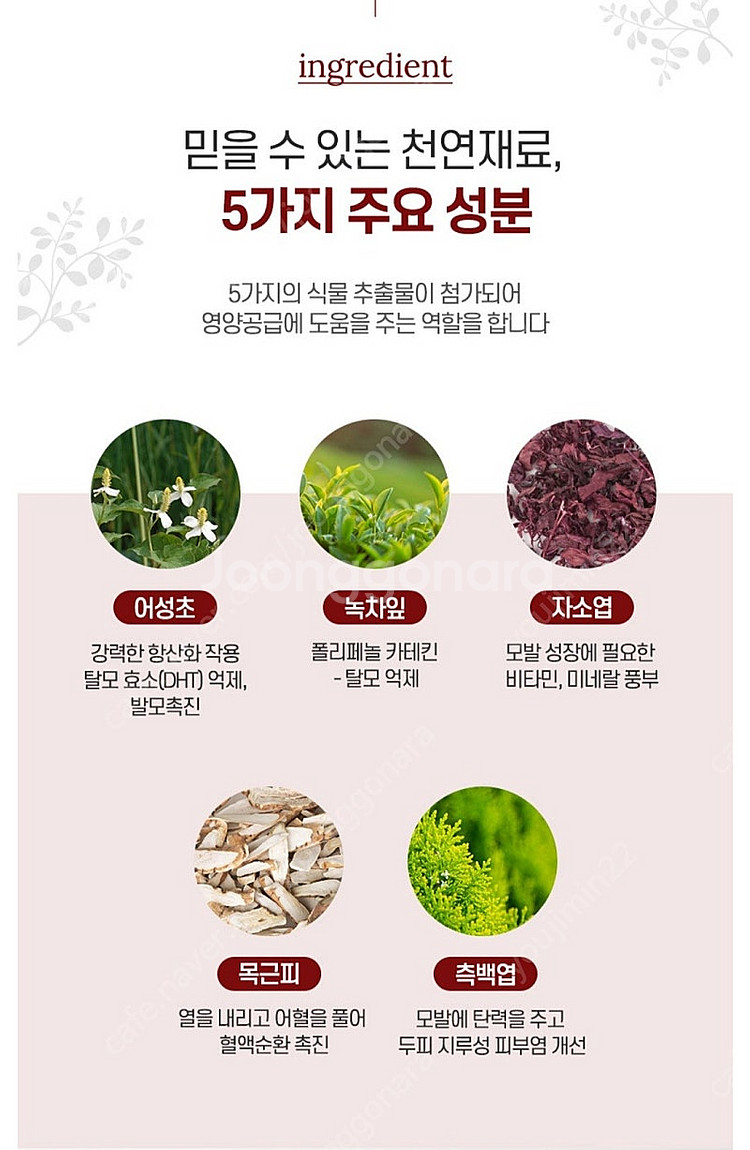머리숱진짜많아져요!천연탈모샴푸반값!--3