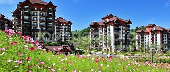 용평리조트~베르데힐49평~패키지--0