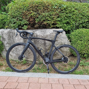 피나렐로 프린스 21년 팝니다