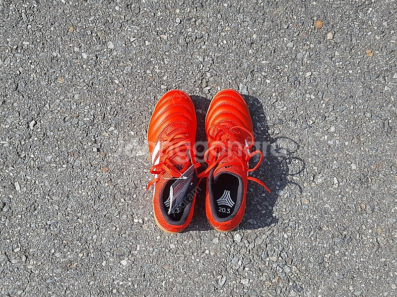 아디다스 코파3 인살라 인도어화--0