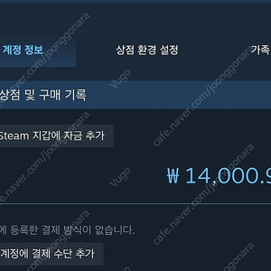 스팀월렛 14000원 팝니다