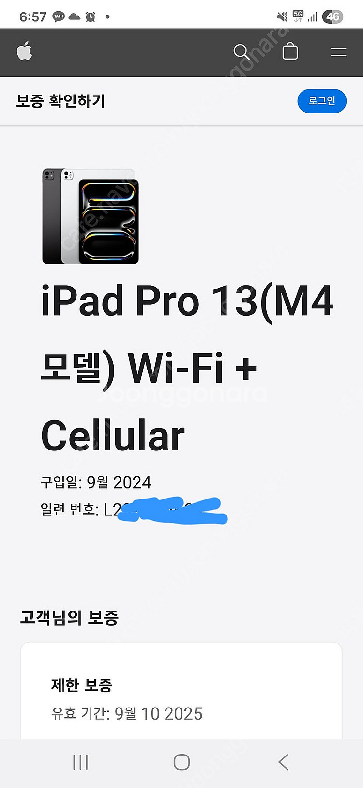 아이패드 프로 13 M4 WiFi+Cellular 실버...--1