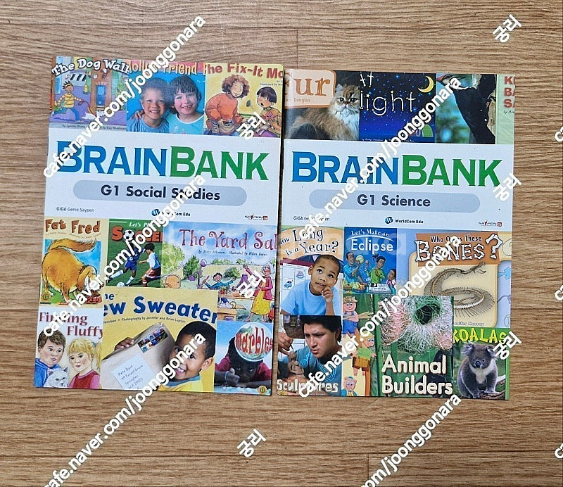 브레인 뱅크] Brain Bank Grade 1 Son...--0