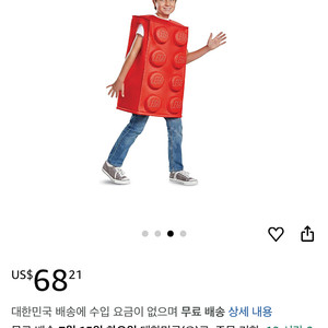 레고브릭 코스튬