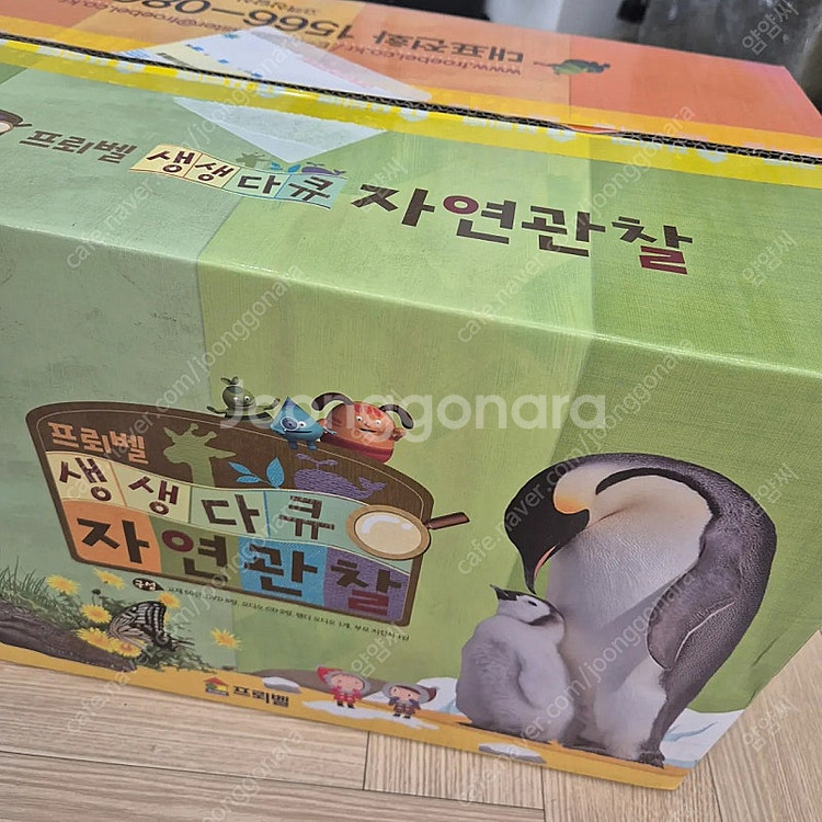 프뢰벨 생생다큐 자연관찰 새상품--0