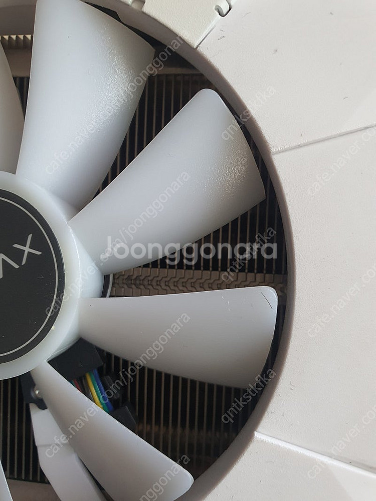 adata xpg ddr5 6400 램 32기가 코잇 ...--2