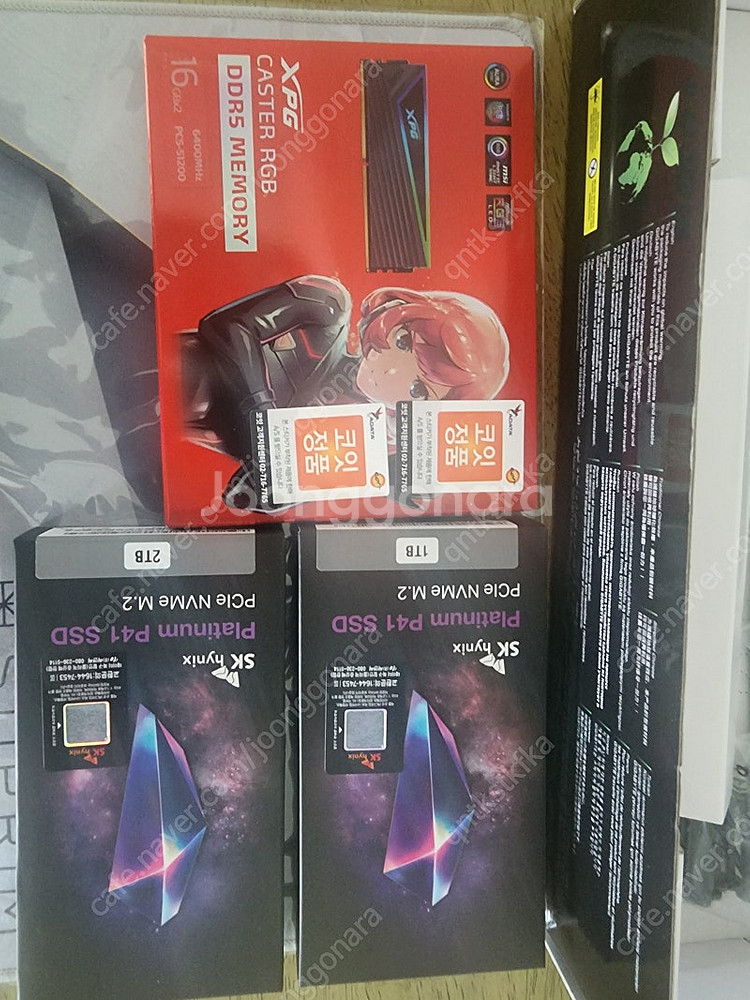 adata xpg ddr5 6400 램 32기가 코잇 ...--4