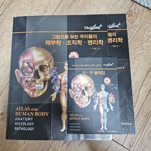 그림으로 보는 우리몸의 해부학·조직학·병리학 1권, 2권, 미니북 출판사 정담 * 새 책 *